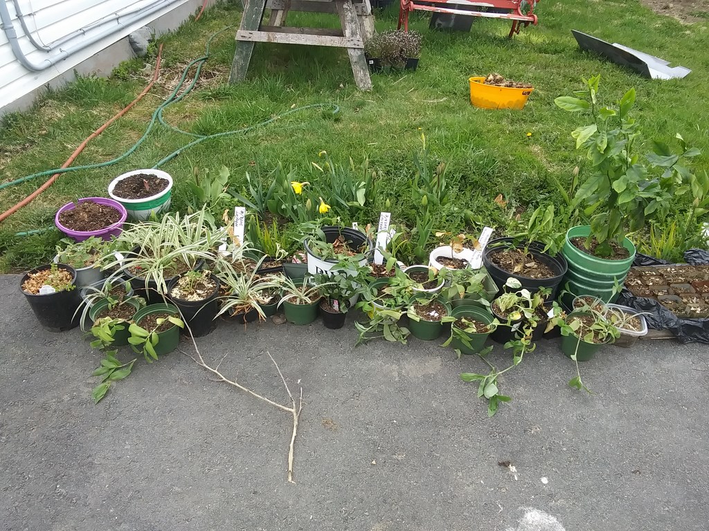 Christopher Greaves Diary_20240522_144724.jpg