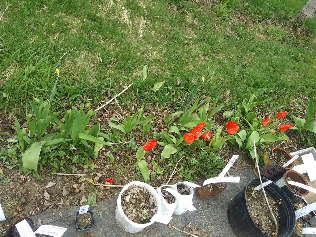 Christopher Greaves Diary_20240522_144748.jpg