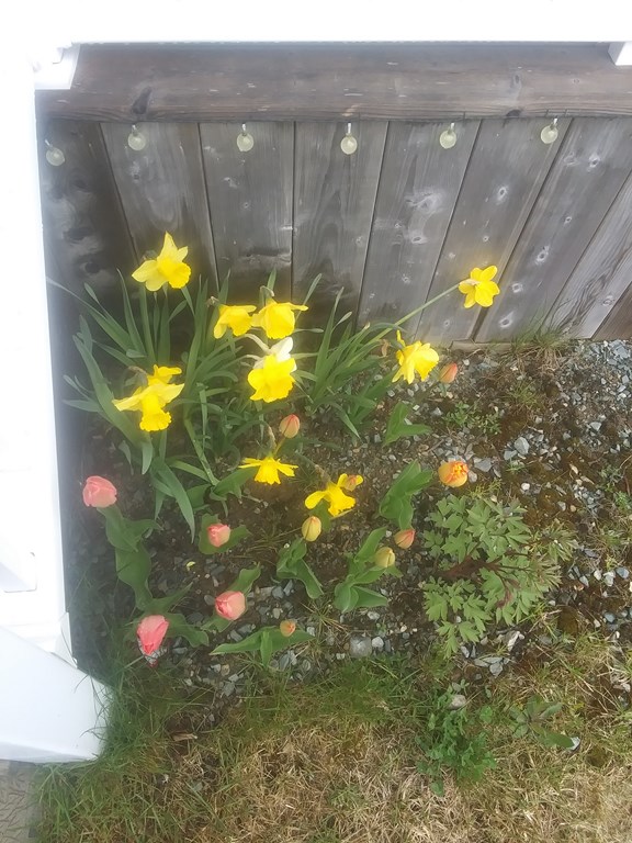 Christopher Greaves Diary_20240525_144349.jpg