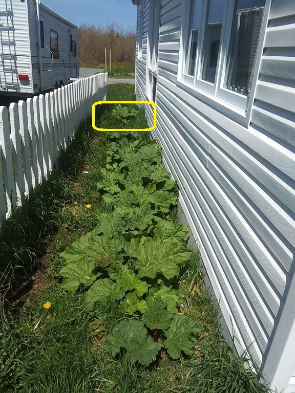 Christopher Greaves Diary_20240527_132638.jpg