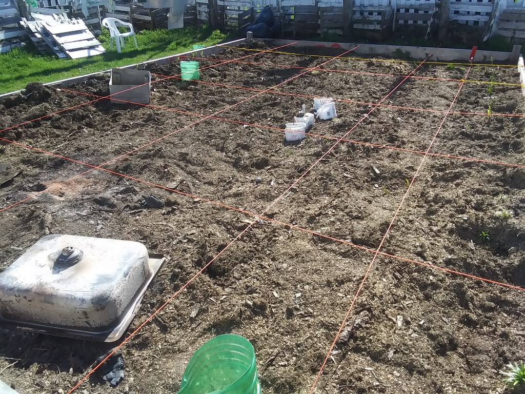 Christopher Greaves Diary_20240527_163758.jpg