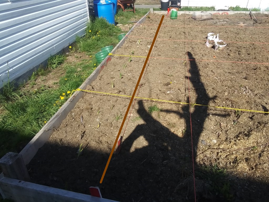 Christopher Greaves Diary_20240527_163813.jpg