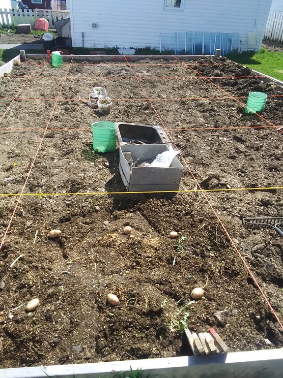 Christopher Greaves Diary_20240528_103633.jpg