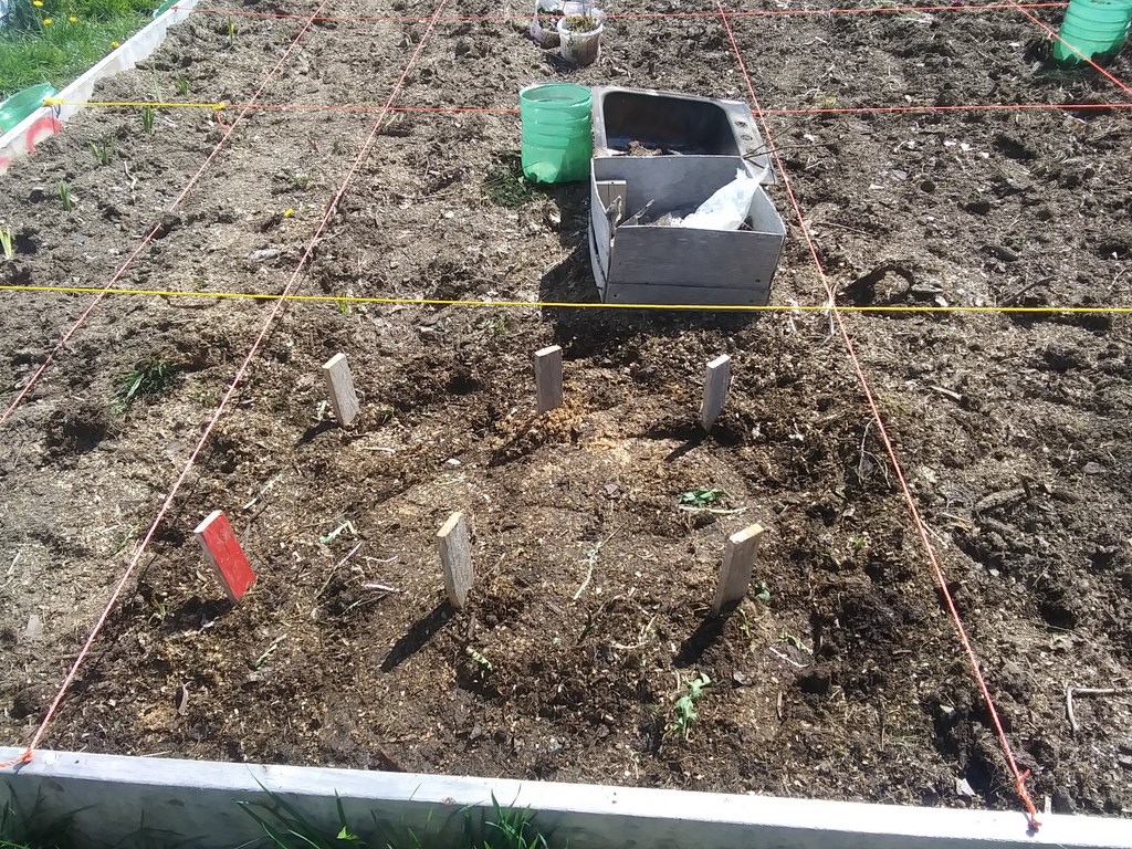 Christopher Greaves Diary_20240528_104119.jpg