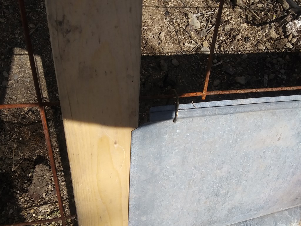 Christopher Greaves Diary_20240530_161039.jpg