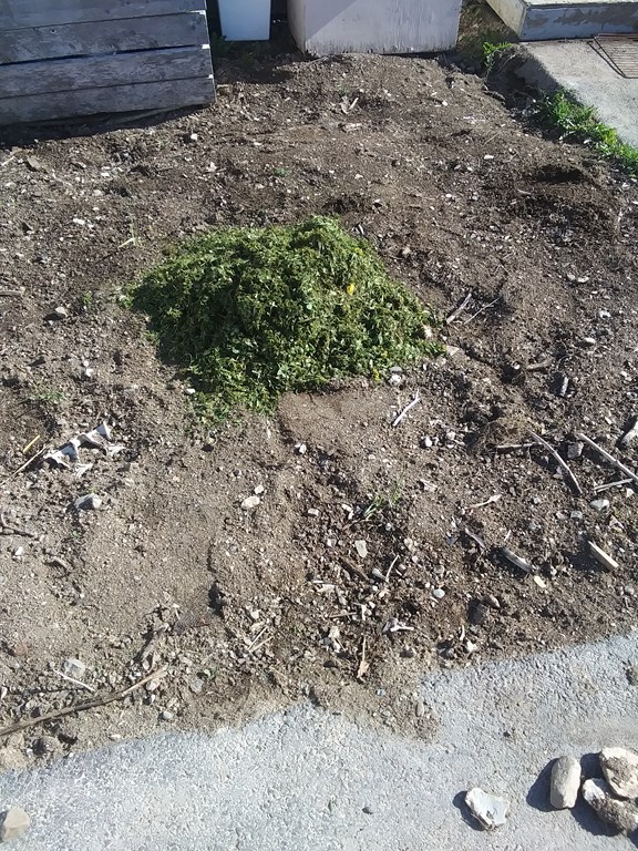 Christopher Greaves Diary_20240530_172118.jpg