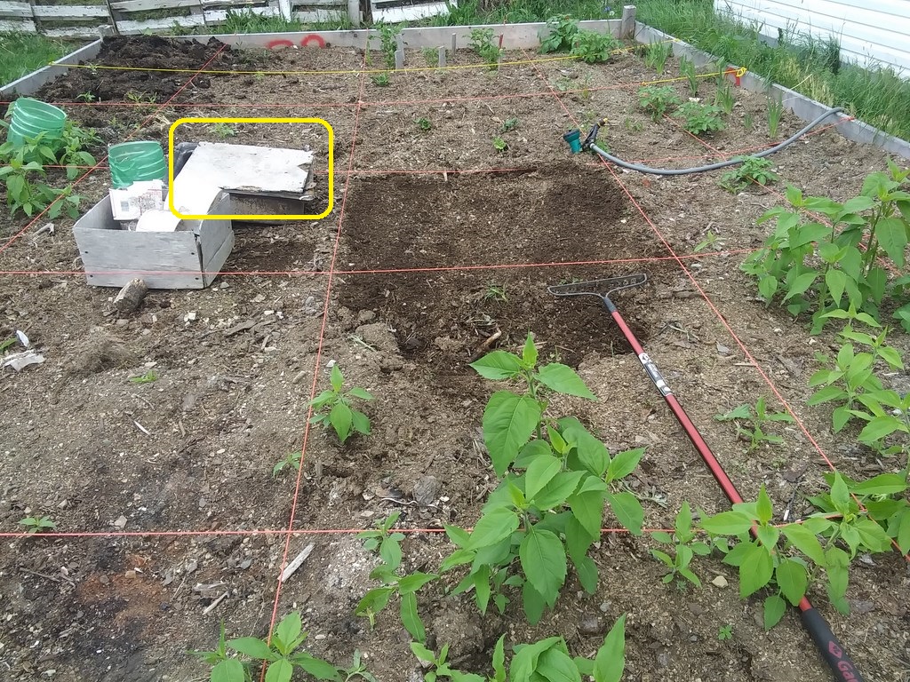 Christopher Greaves Diary_20240628_092139.jpg