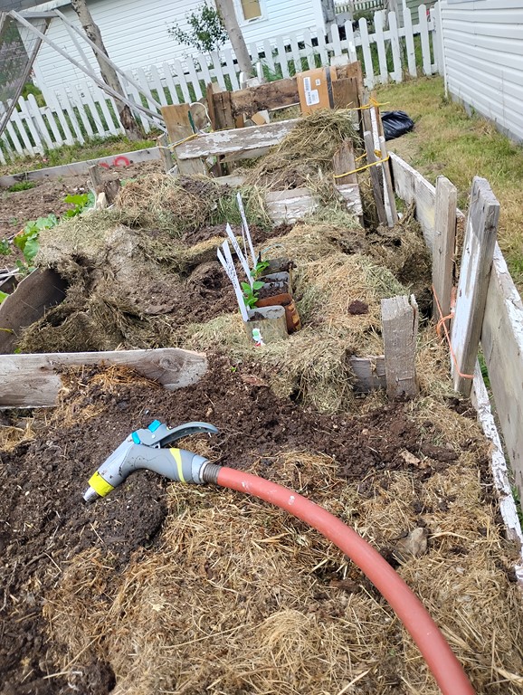 Christopher Greaves Diary_2025_06_IMG_20250626_102507198.jpg