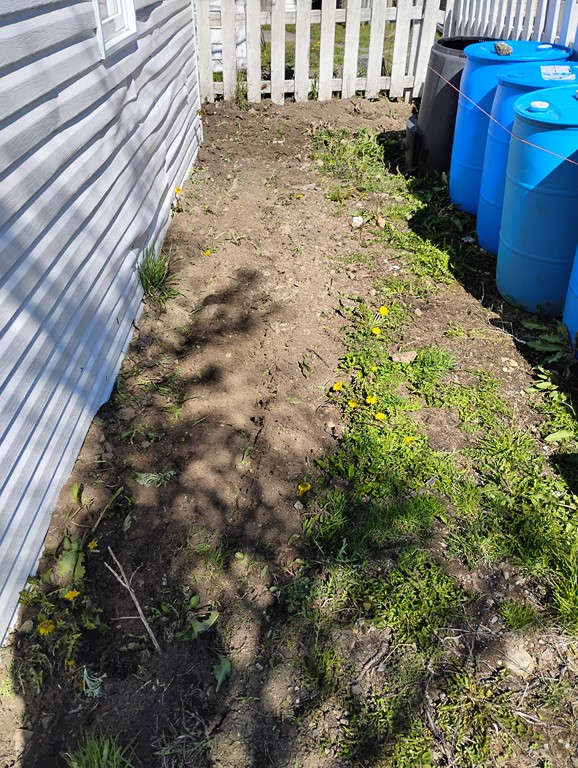 Christopher Greaves IMG_20250527_160542337_HDR.jpg