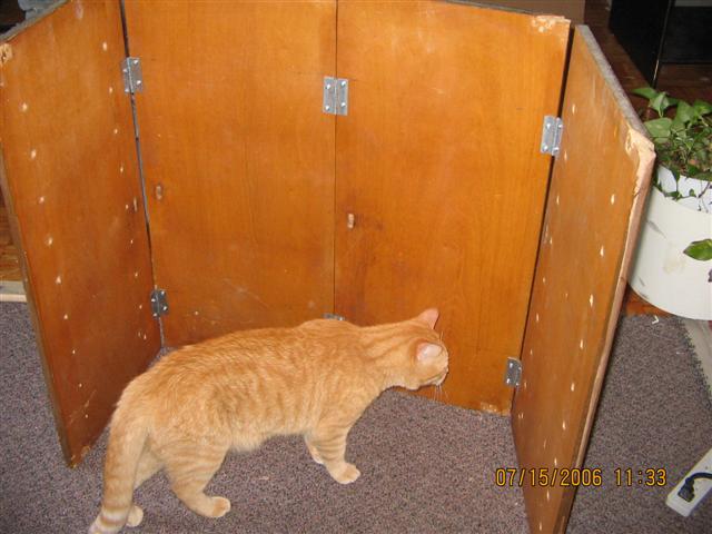Christopher Greaves CupboardLoveIMG0016.JPG
