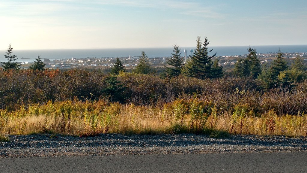 Christopher Greaves Bonavista_IMG_20181005_170834884_HDR.JPG