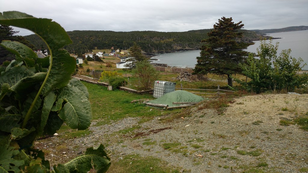 Christopher Greaves Bonavista_IMG_20181012_164506611.jpg