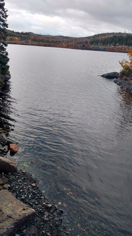 Christopher Greaves Nfld_IMG_20171009_090459646_HDR.jpg