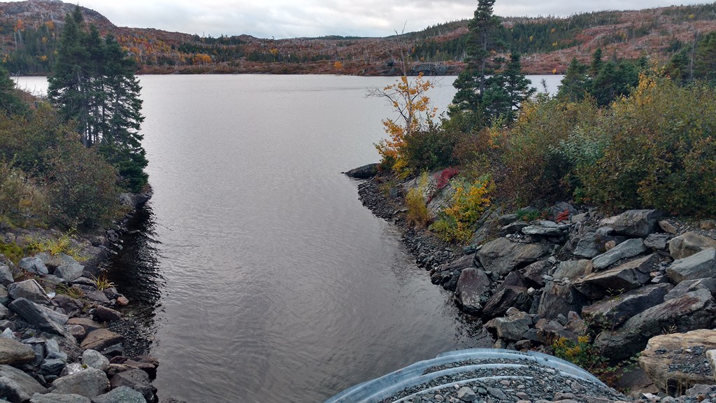 Christopher Greaves Nfld_IMG_20171009_090542065_HDR.jpg