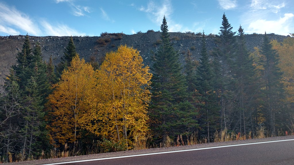 Christopher Greaves Nfld_IMG_20171009_111638500_HDR.jpg