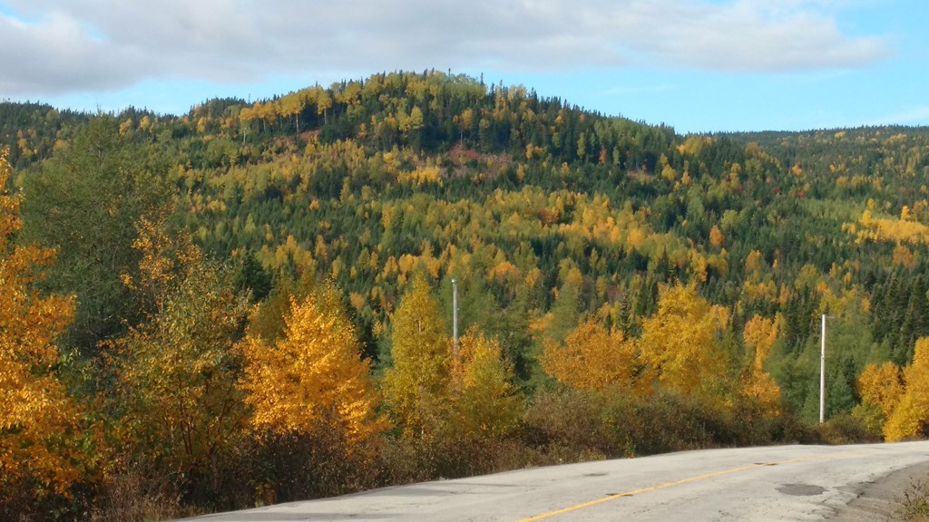 Christopher Greaves Nfld_IMG_20171009_115252994.jpg