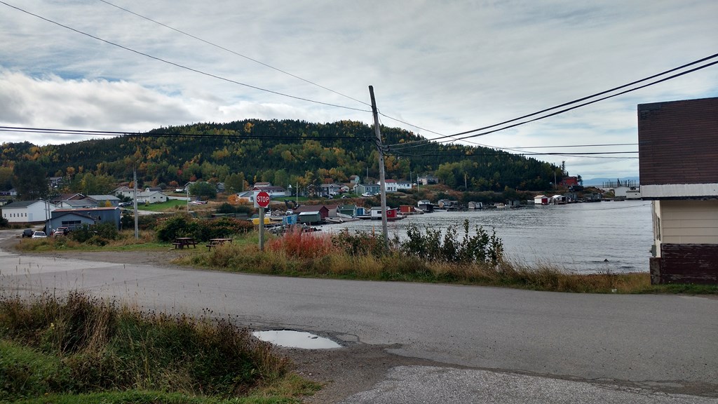 Christopher Greaves Nfld_IMG_20171009_120754525_HDR.jpg