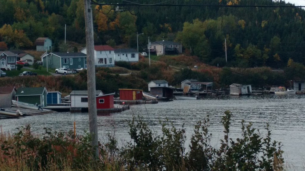 Christopher Greaves Nfld_IMG_20171009_120800419.jpg