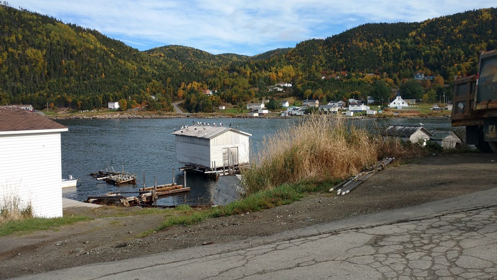 Christopher Greaves Nfld_IMG_20171009_121602244.jpg