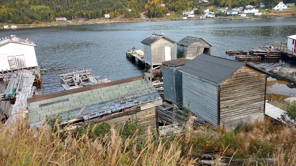 Christopher Greaves Nfld_IMG_20171009_121721748.jpg