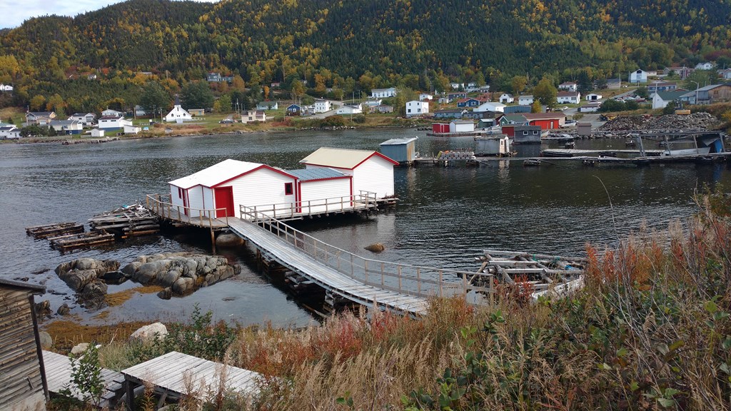 Christopher Greaves Nfld_IMG_20171009_121747657.jpg