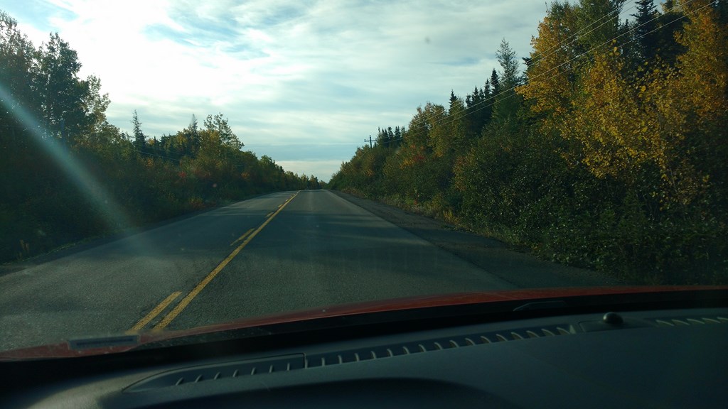 Christopher Greaves Nfld_IMG_20171010_093624652.jpg