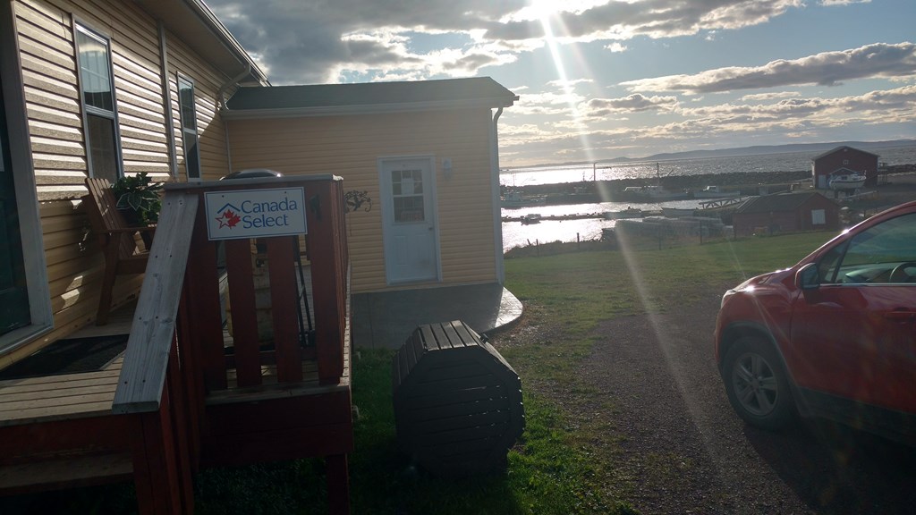 Christopher Greaves Nfld_IMG_20171011_163809779_HDR.jpg