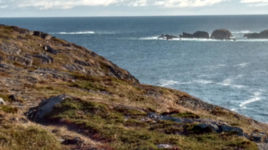 Christopher Greaves Nfld_IMG_20171012_092928430_HDR.jpg