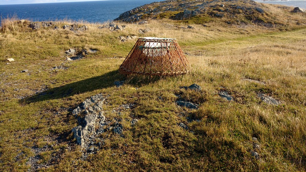 Christopher Greaves Nfld_IMG_20171012_093211973.jpg