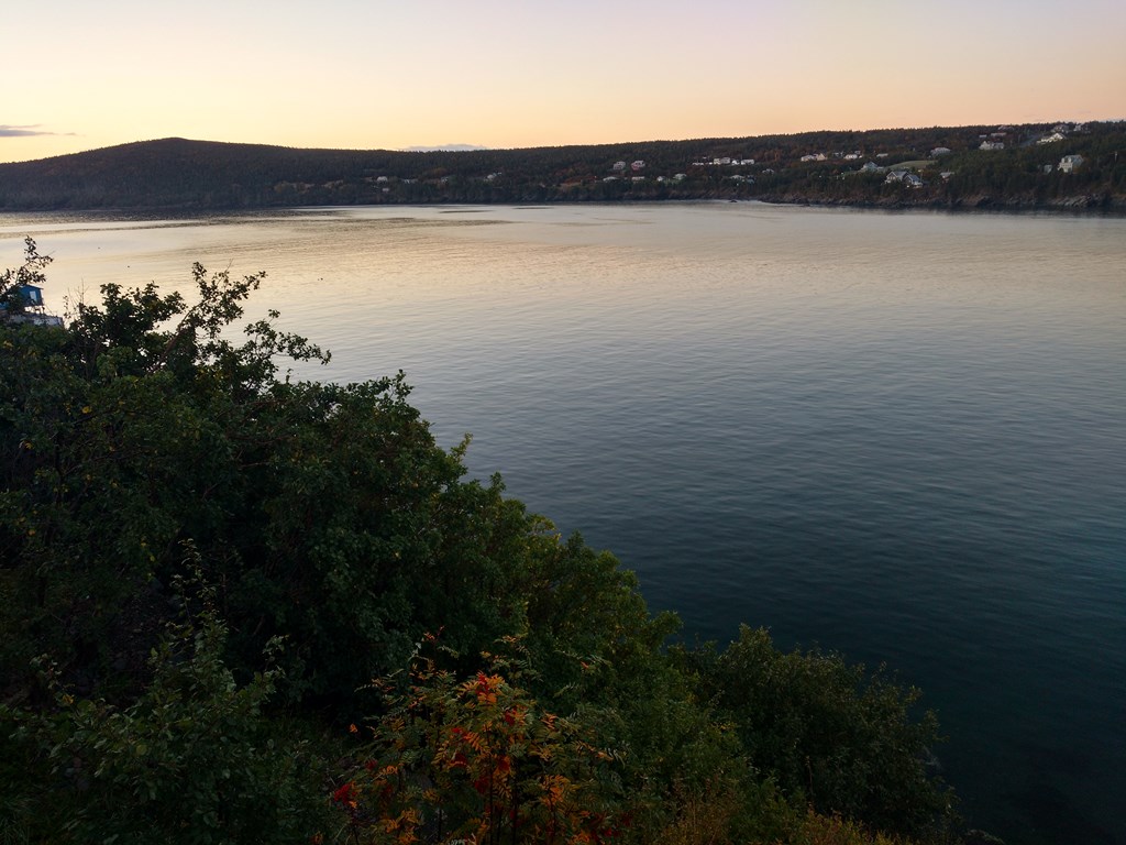 Christopher Greaves Nfld_IMG_20171013_071707872_HDR.jpg