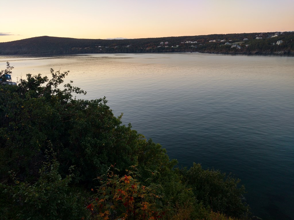 Christopher Greaves Nfld_IMG_20171013_071707872_HDR.jpg