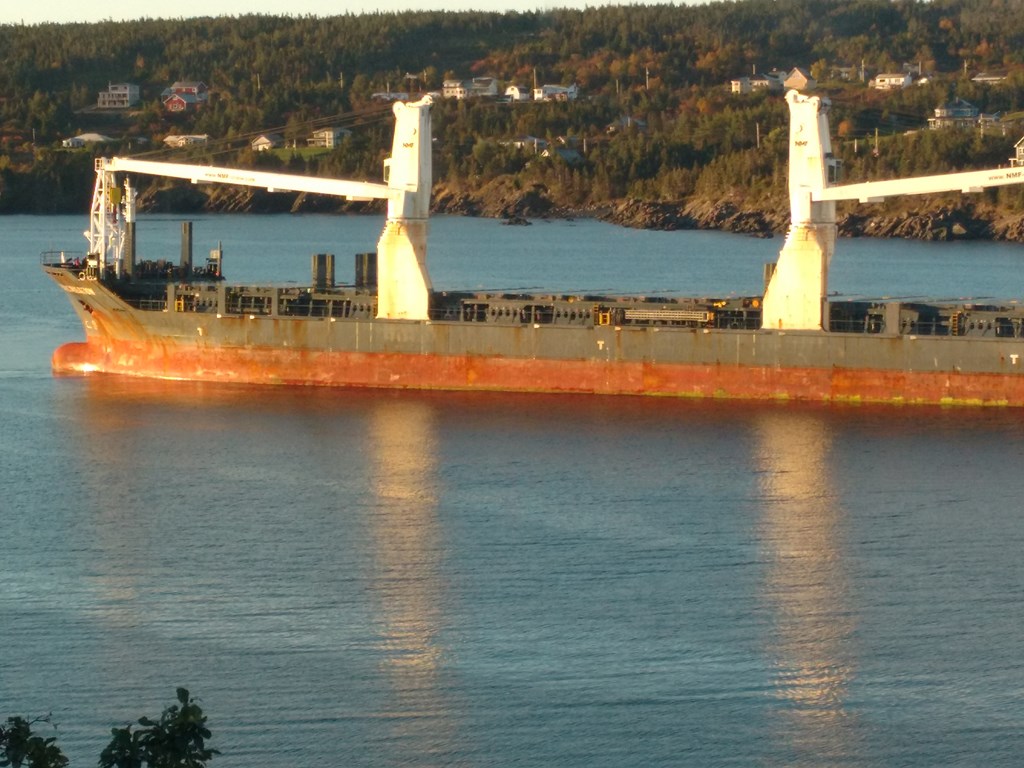 Christopher Greaves Nfld_IMG_20171013_075939094.jpg