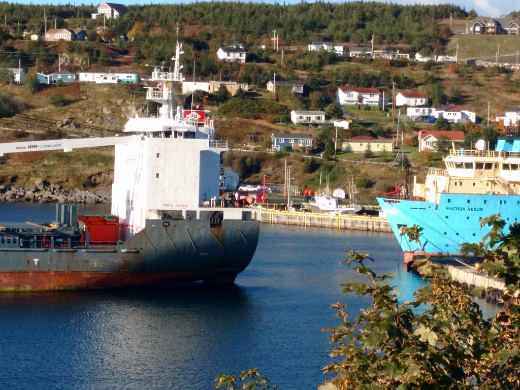 Christopher Greaves Nfld_IMG_20171013_093330728.jpg