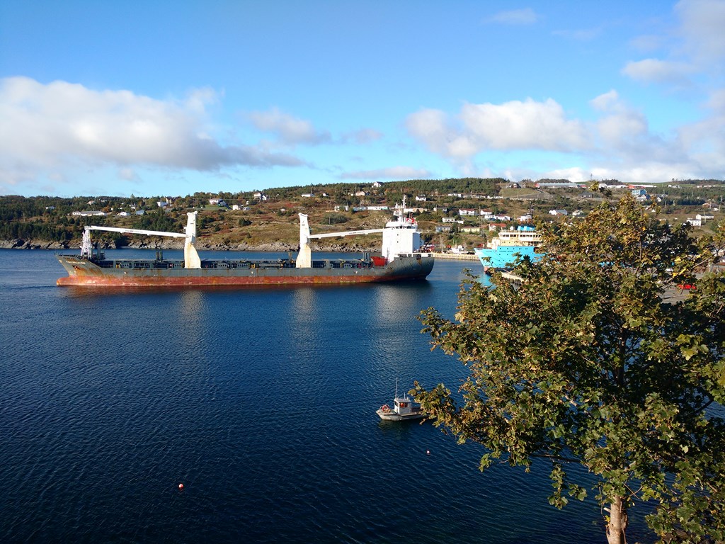 Christopher Greaves Nfld_IMG_20171013_093334004.jpg