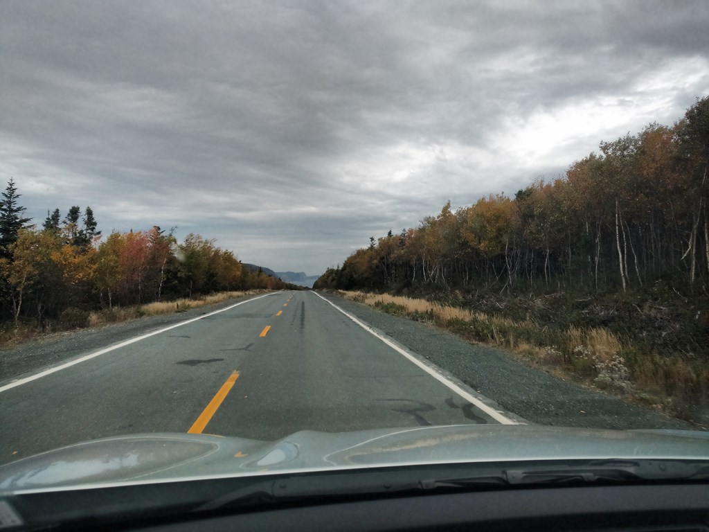 Christopher Greaves Nfld_IMG_20171014_105322809.jpg