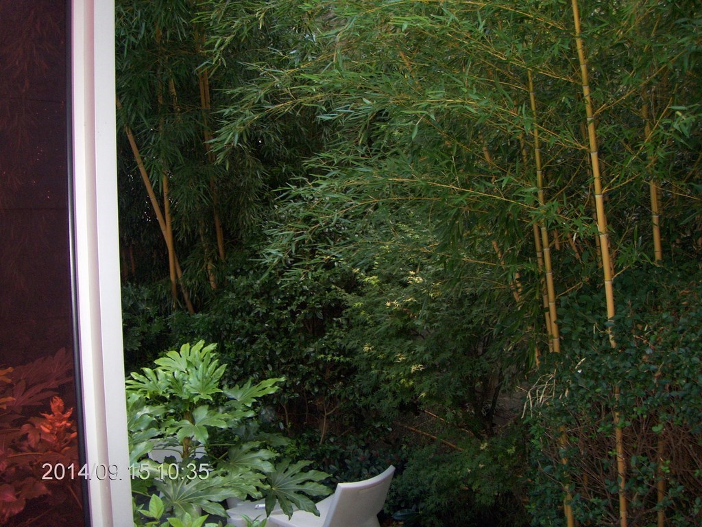 Christopher Greaves PARIS_HPIM7878.JPG