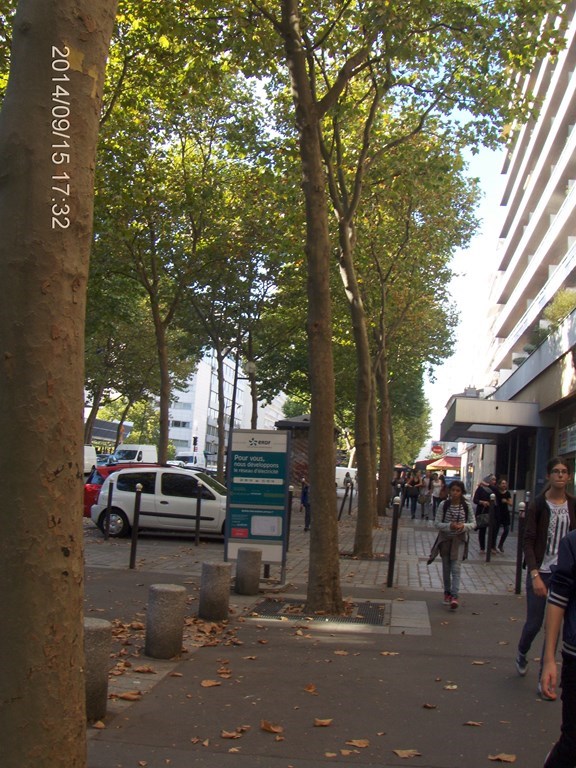 Christopher Greaves PARIS_HPIM7884.JPG