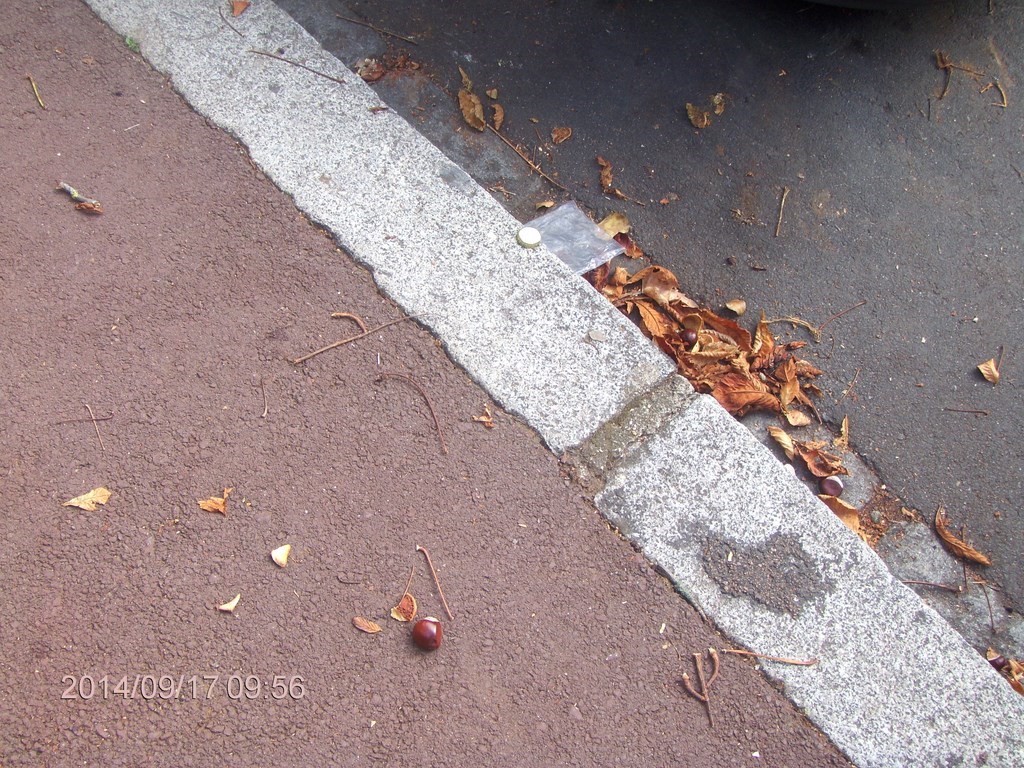 Christopher Greaves Paris_HPIM7959.JPG