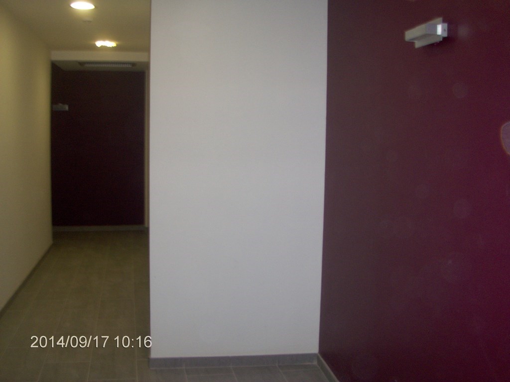 Christopher Greaves Paris_HPIM7962.JPG