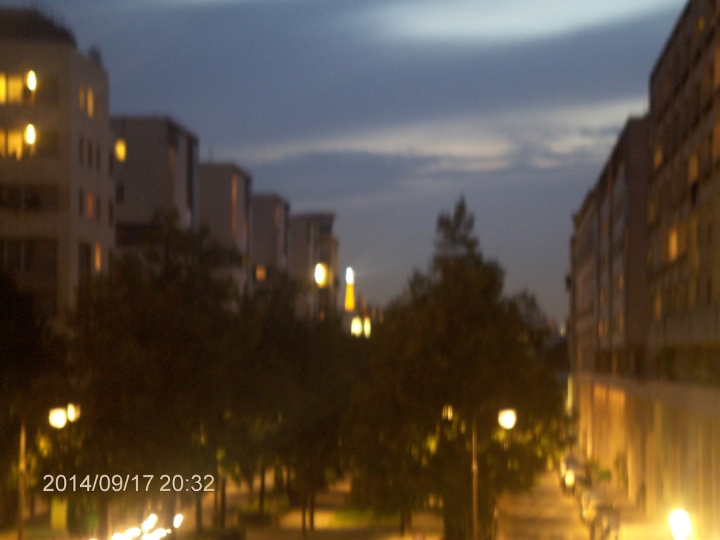 Christopher Greaves Paris_HPIM8008.JPG