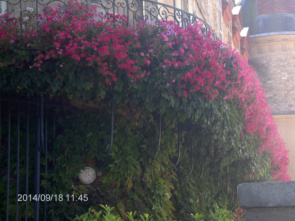 Christopher Greaves Paris_HPIM8056.JPG