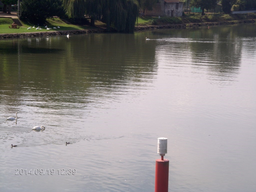 Christopher Greaves Paris_HPIM8100.JPG