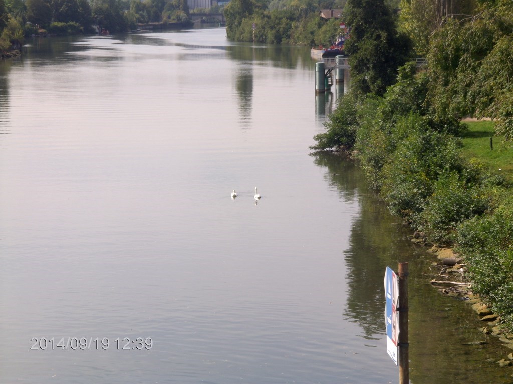 Christopher Greaves Paris_HPIM8101.JPG