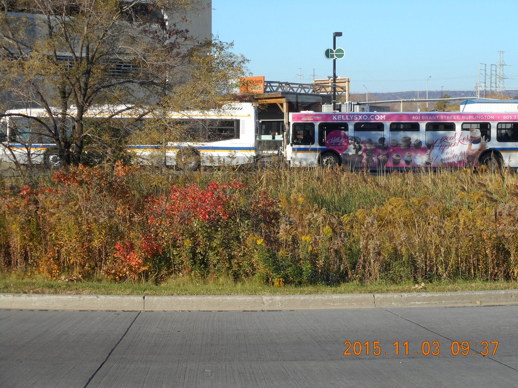 Christopher Greaves StCatharines_DSCN3086.JPG