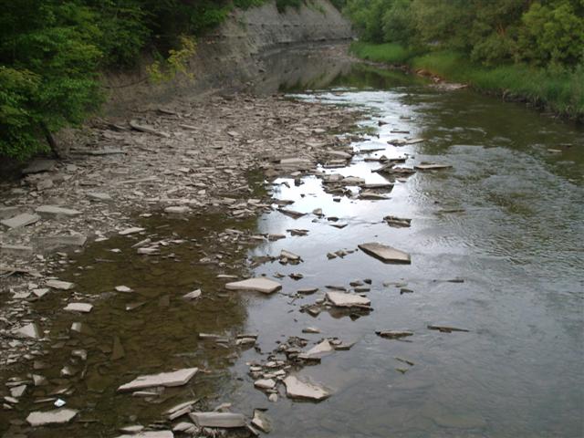 Christopher Greaves EtobicokeCreek_GEDC1824.JPG