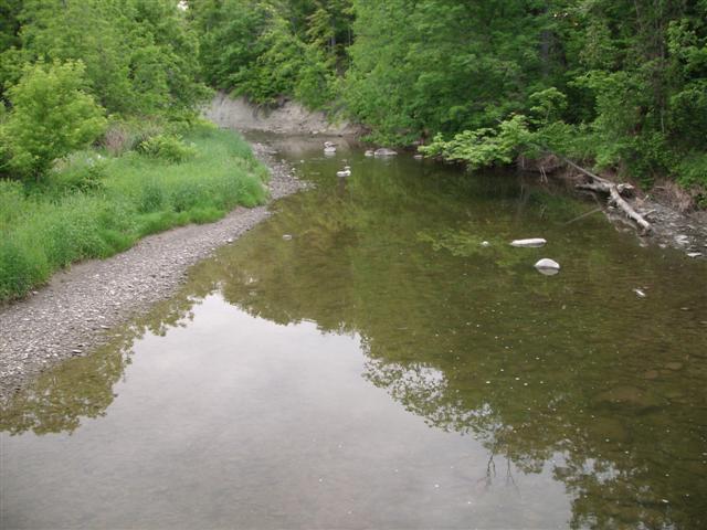 Christopher Greaves EtobicokeCreek_GEDC1834.JPG