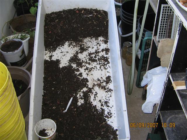 Christopher Greaves Seeding_IMG_3536.JPG