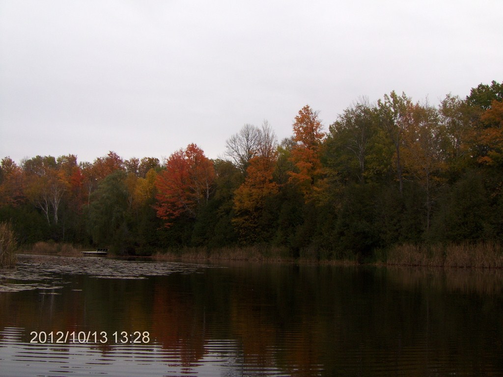 Christopher Greaves BlackRiver_HPIM5080.JPG