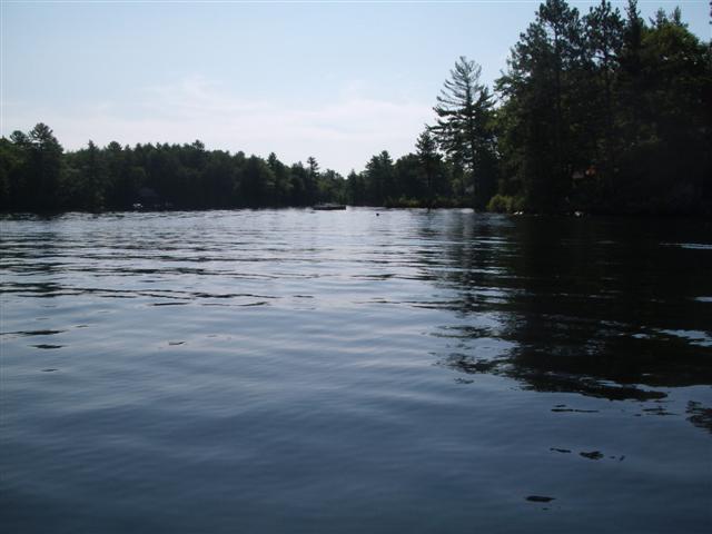Christopher Greaves CrookedBay_GEDC2126.JPG