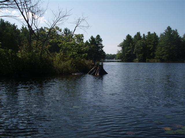 Christopher Greaves CrookedBay_GEDC2131.JPG